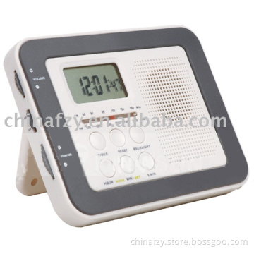 AM/FM RADIO